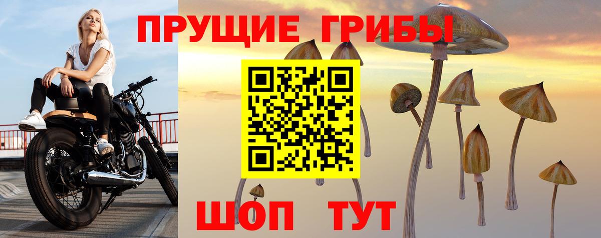 Чебоксары  Псилоцибиновые грибы прущие грибы  Вход с VPN 